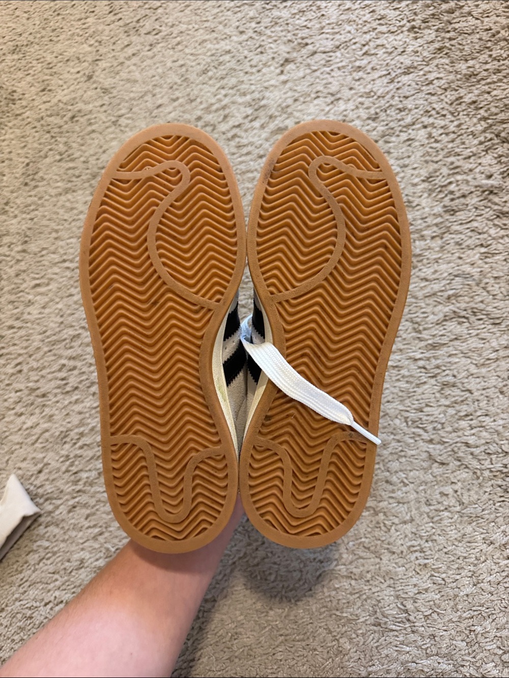 Adidas campus sneaker - Picture 10 of 11